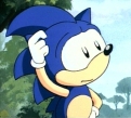 Sonic Confused